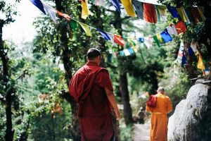 siddhartha